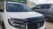 Auto Ventshade Bugflector II - 25516 - 2021-2025 Honda Ridgeline